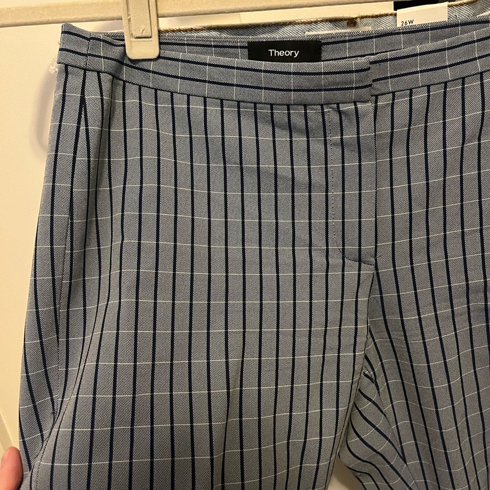 Theory pants